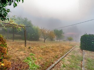 193r6mumpp9wbnbf5pv4np.jpg